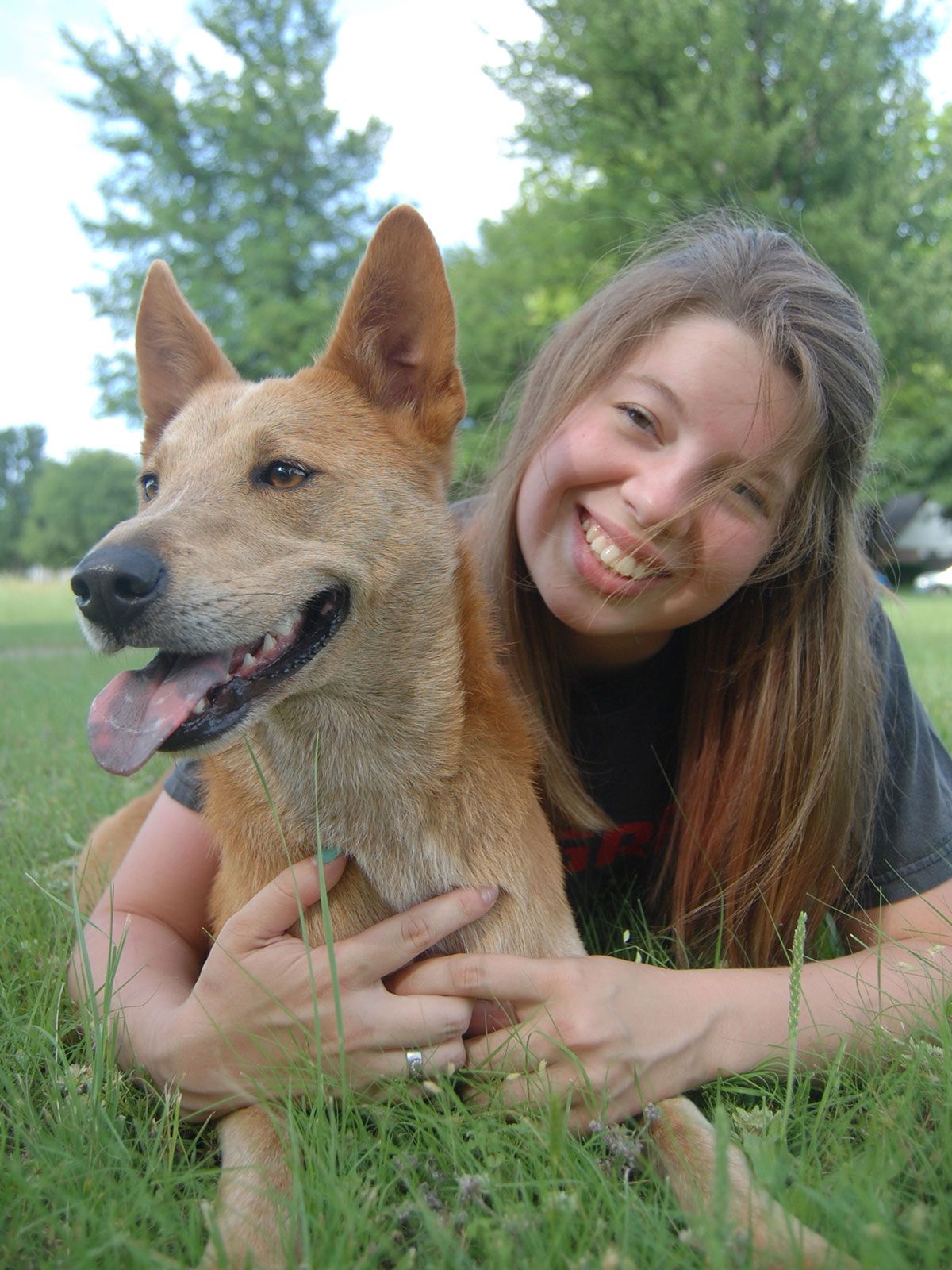 Vet Tech at Fox Veterinary Services in Dripping Springs, TX